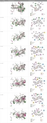 Potent VEGFR-2 inhibitors for resistant breast cancer: a comprehensive 3D-QSAR, ADMET, molecular docking and MMPBSA calculation on triazolopyrazine derivatives